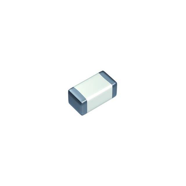 MMARQ219SCG101JTRA01